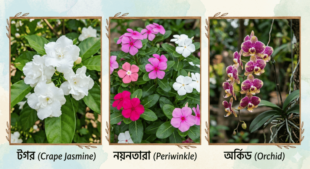 এই ফুল সারাবছর পাওয়া যায়