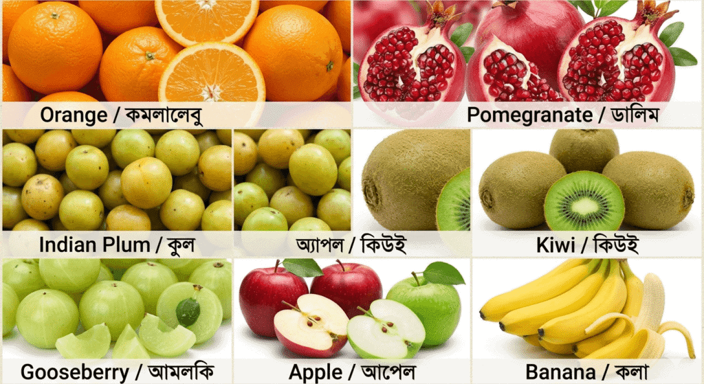 শীতকালের ফল