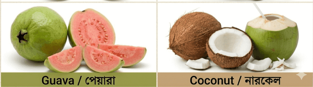 সারা বছর পাওয়া ফলগুলো
