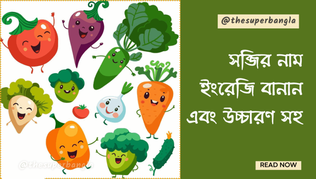 ছোটদের জন্য সব্জির নাম