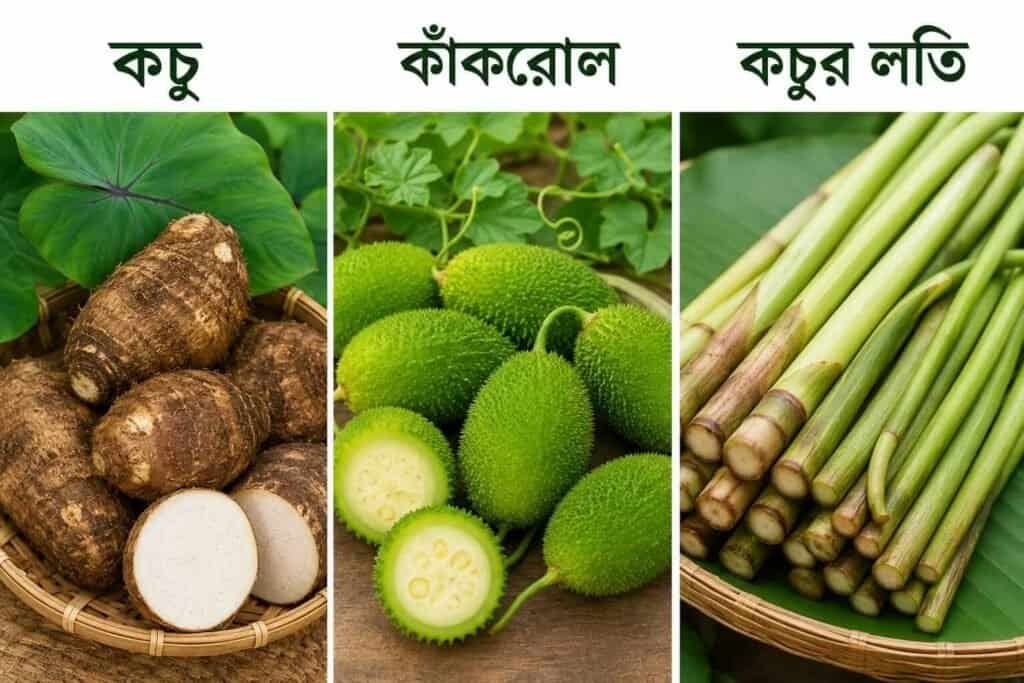 গ্রীষ্ম ও বর্ষাকালের সব্জি