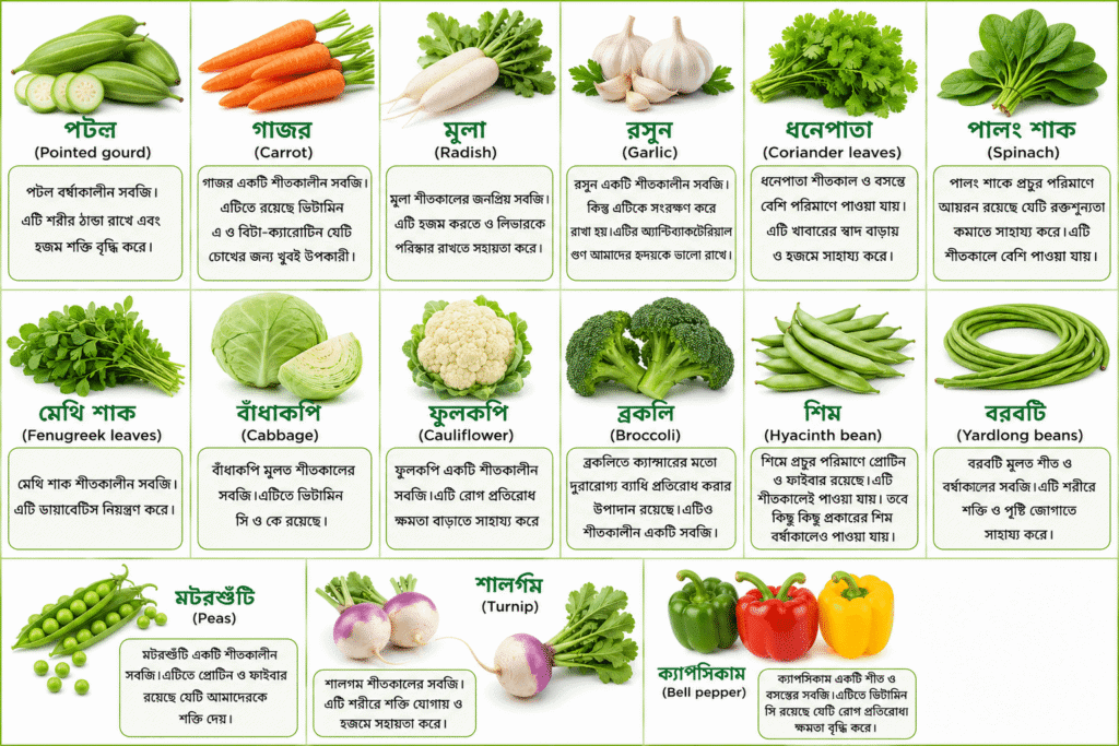 শীত ও বর্ষাকালীন সব্জি